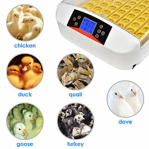 digital-egg-incubator-turkey-hatchery-55-chicken-duck-bird-birthing-auto-turning-40.png