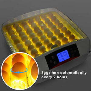 digital-egg-incubator-turkey-hatchery-55-chicken-duck-bird-birthing-auto-turning-44.png