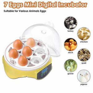 digital-mini-incubator-chicken-duck-bird-quail-hatcher-brooding-7-eggs-kids-gift-38.png