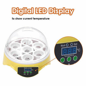 digital-mini-incubator-chicken-duck-bird-quail-hatcher-brooding-7-eggs-kids-gift-44.png