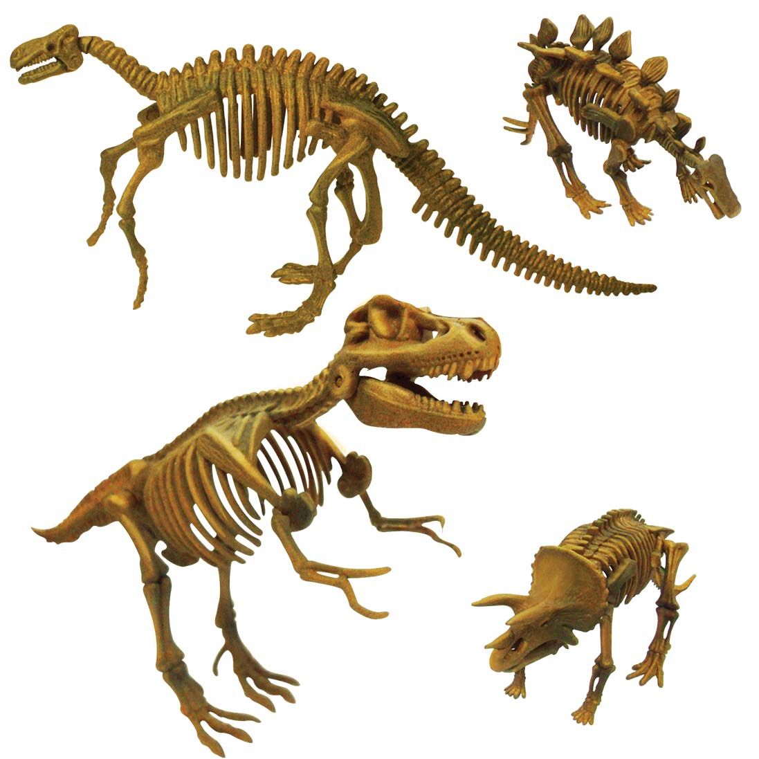 dino-skeleton-all-4-kits-49.png