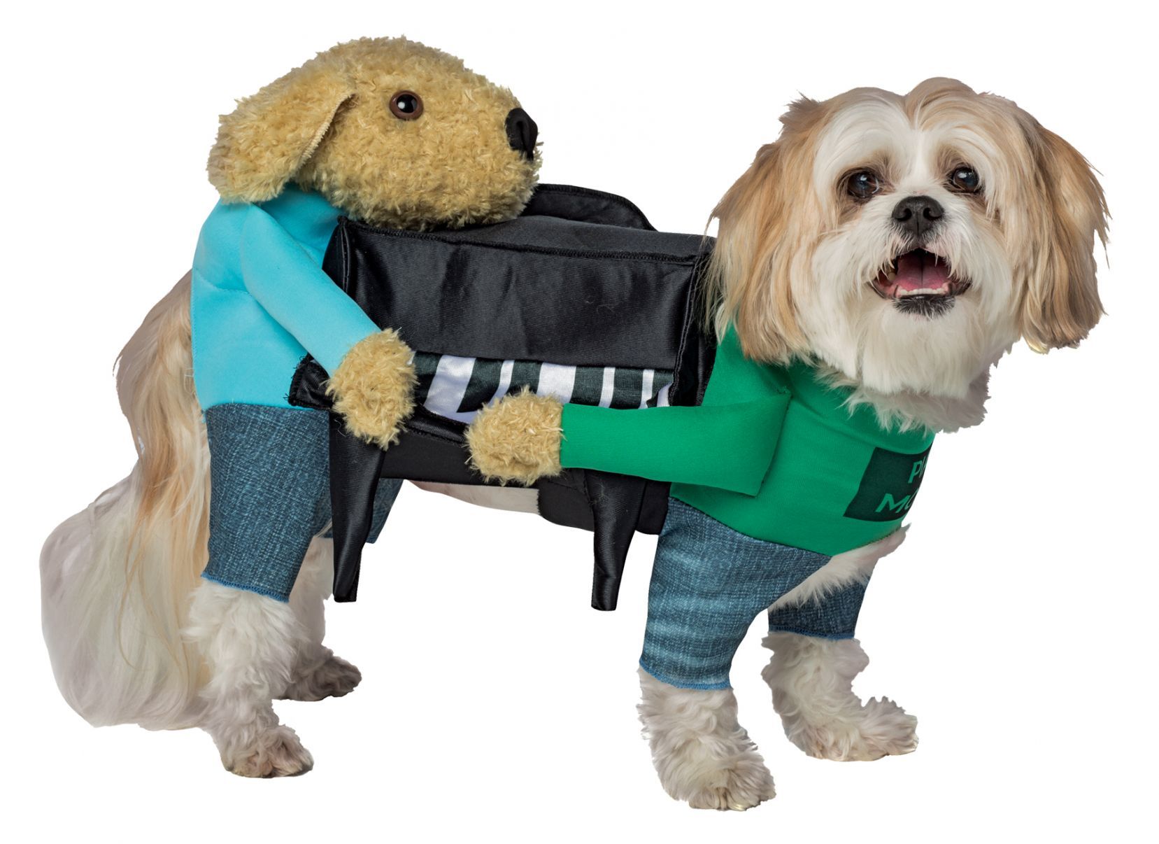 dog-piano-xsmall-small-costume-18.png