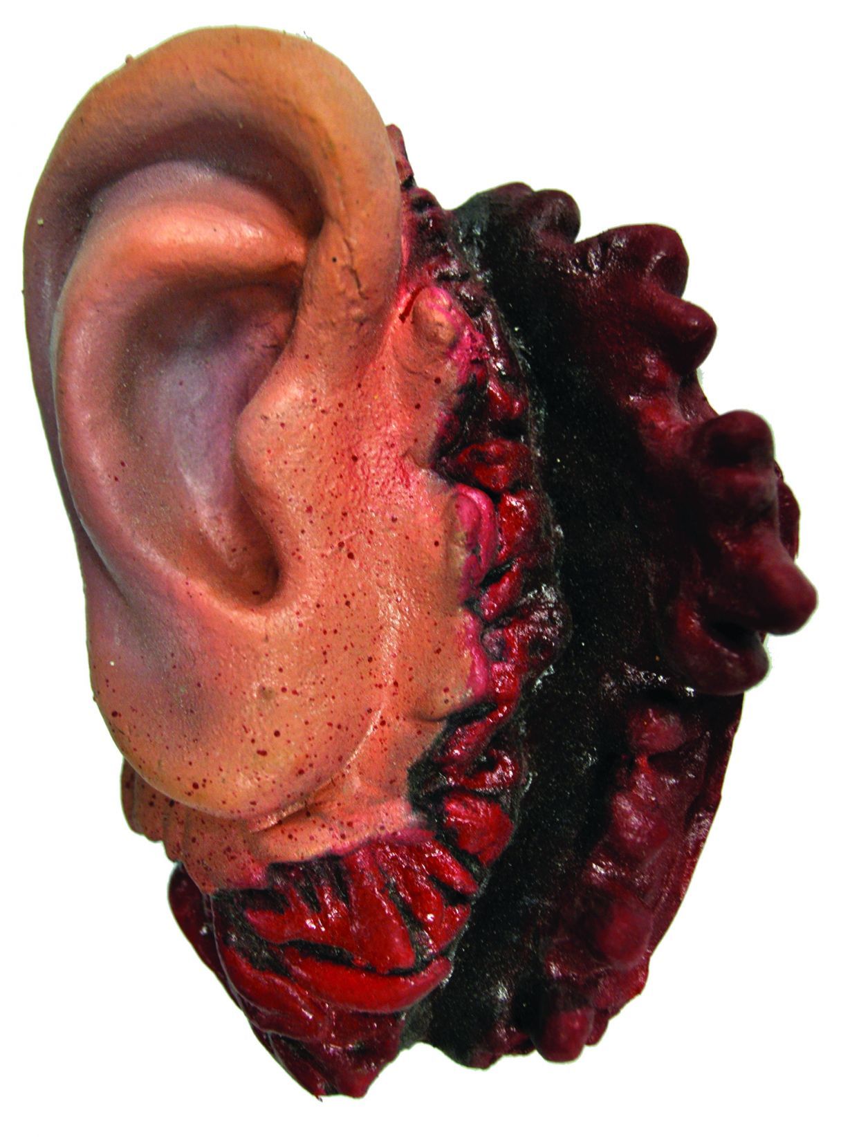 ear-52.png