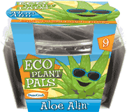 eco-plant-pals-grow-your-own-aloe-alin-24.jpg