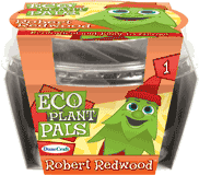 eco-plant-pals-grow-your-own-robert-redwood-24.jpg