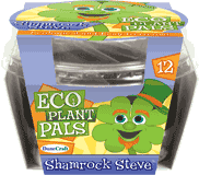eco-plant-pals-grow-your-own-shamrock-steve-24.jpg