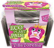 eco-plant-pals-grow-your-own-tina-torenia-24.jpg