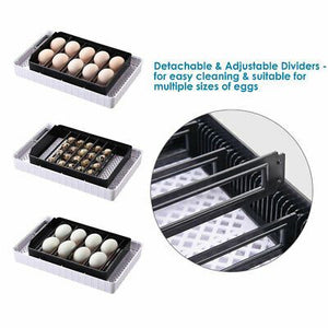 egg-incubator-9-35-chicken-brooder-bird-quail-digital-hatcher-lab-home-kids-gift-38.png