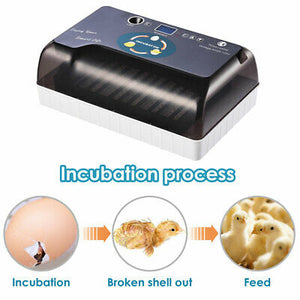 egg-incubator-9-35-chicken-brooder-bird-quail-digital-hatcher-lab-home-kids-gift-40.png