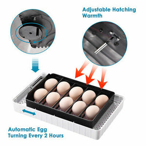 egg-incubator-9-35-chicken-brooder-bird-quail-digital-hatcher-lab-home-kids-gift-44.png