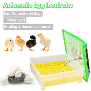 egg-incubator-chicken-duck-goose-quail-hatcher-farm-56-eggs-automatic-turning-41.png