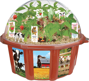 farmer-s-garden-grow-your-own-harvest-31.png