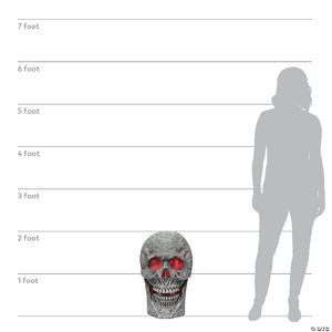 24 skull with light and sound~mr123238-a06