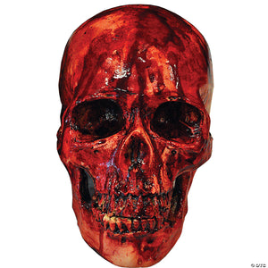 bloody skull~tb37038