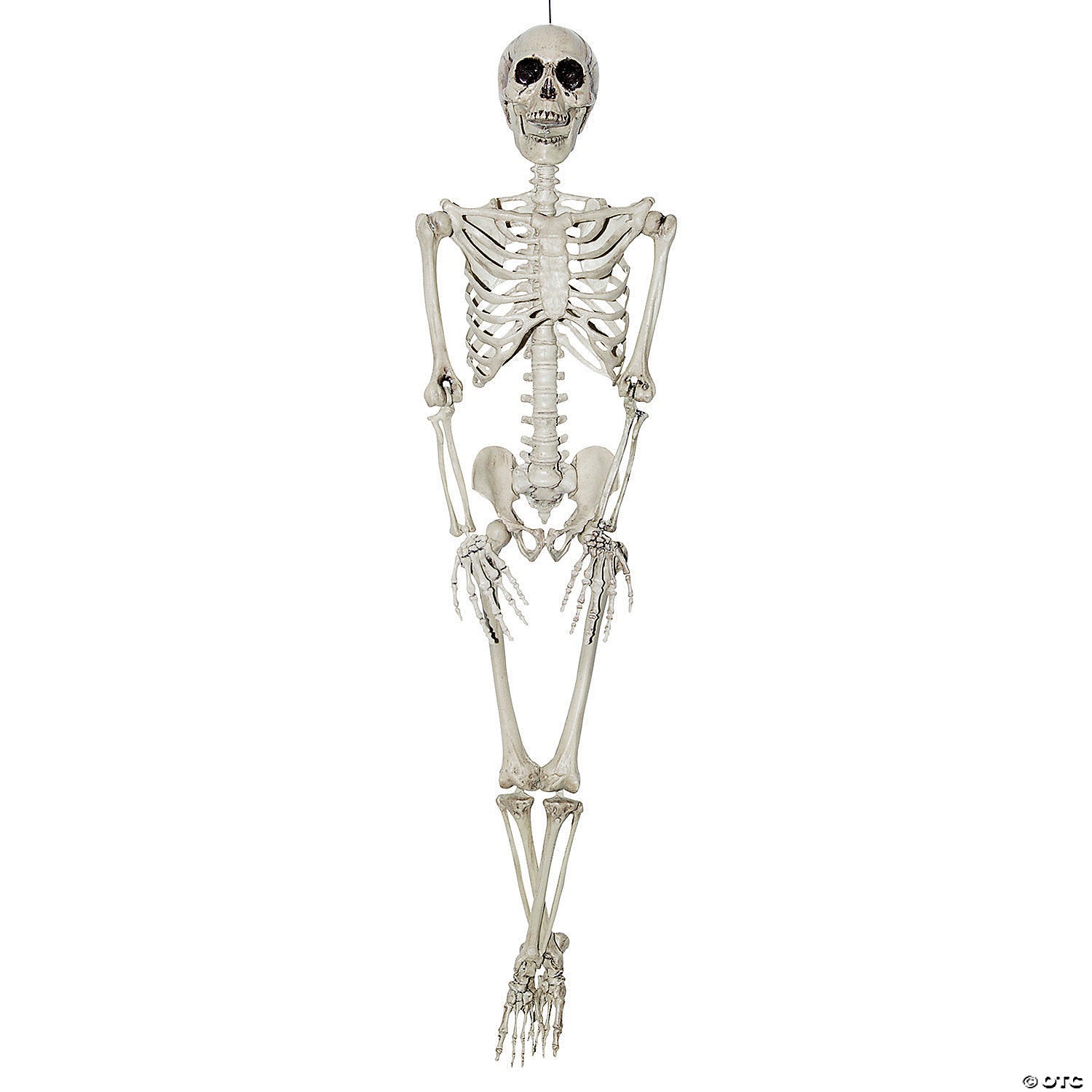 3 hanging skeleton halloween decoration~ss80010