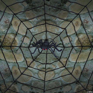 giant spider with web decoration~ss80055