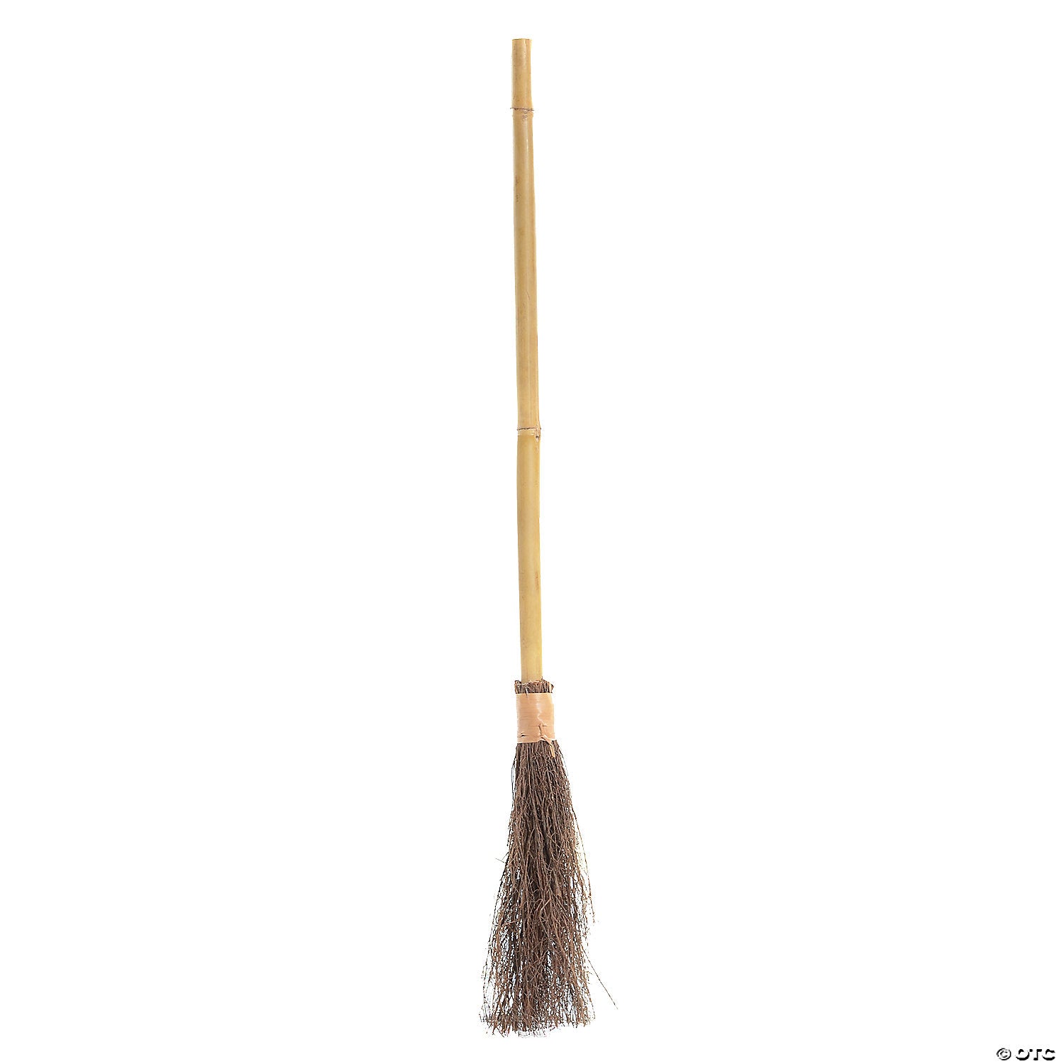 witch broom~mr122642