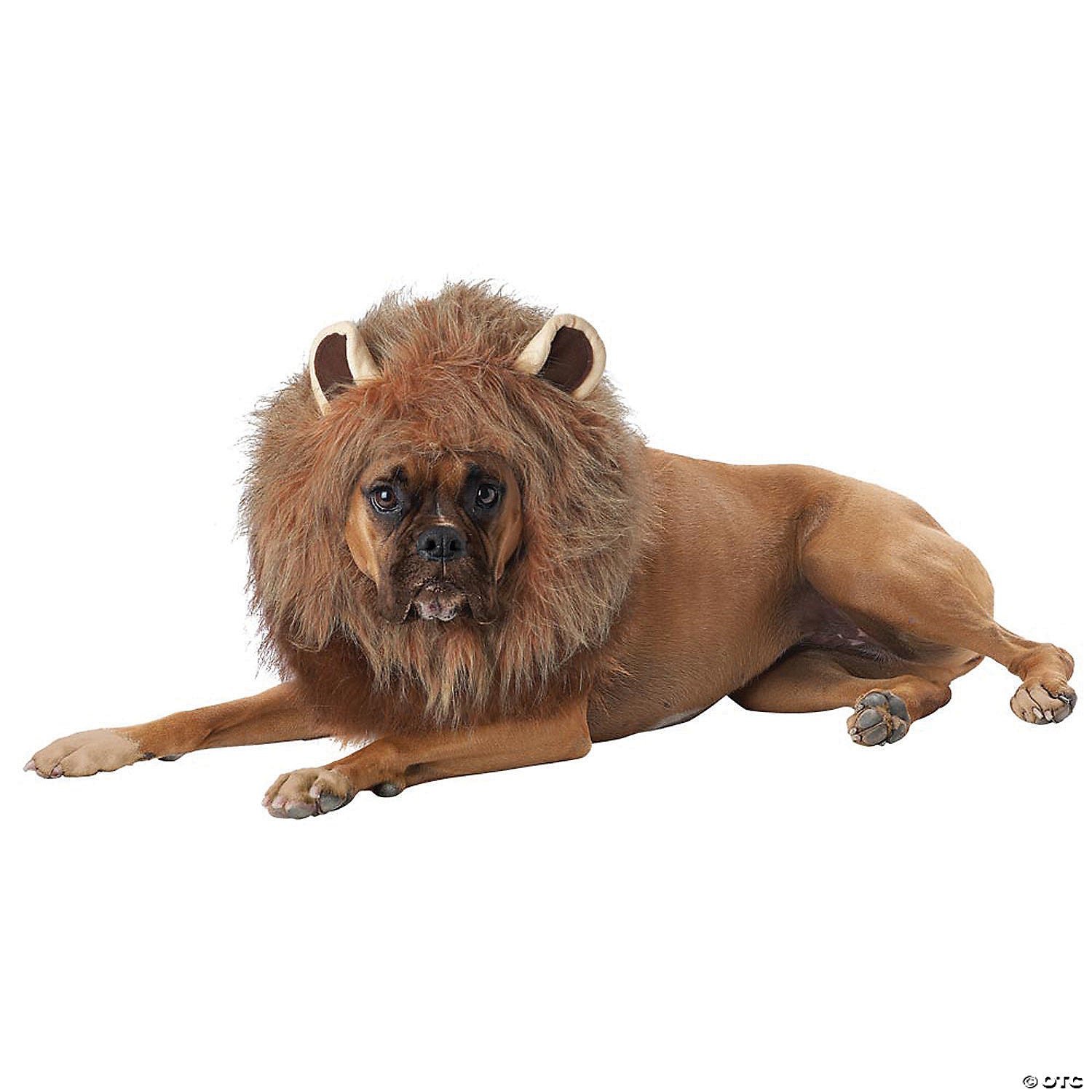 king of the jungle dog costume large~ccpet20166lg-a01