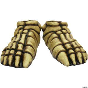 adults skeleton feet~tb25338