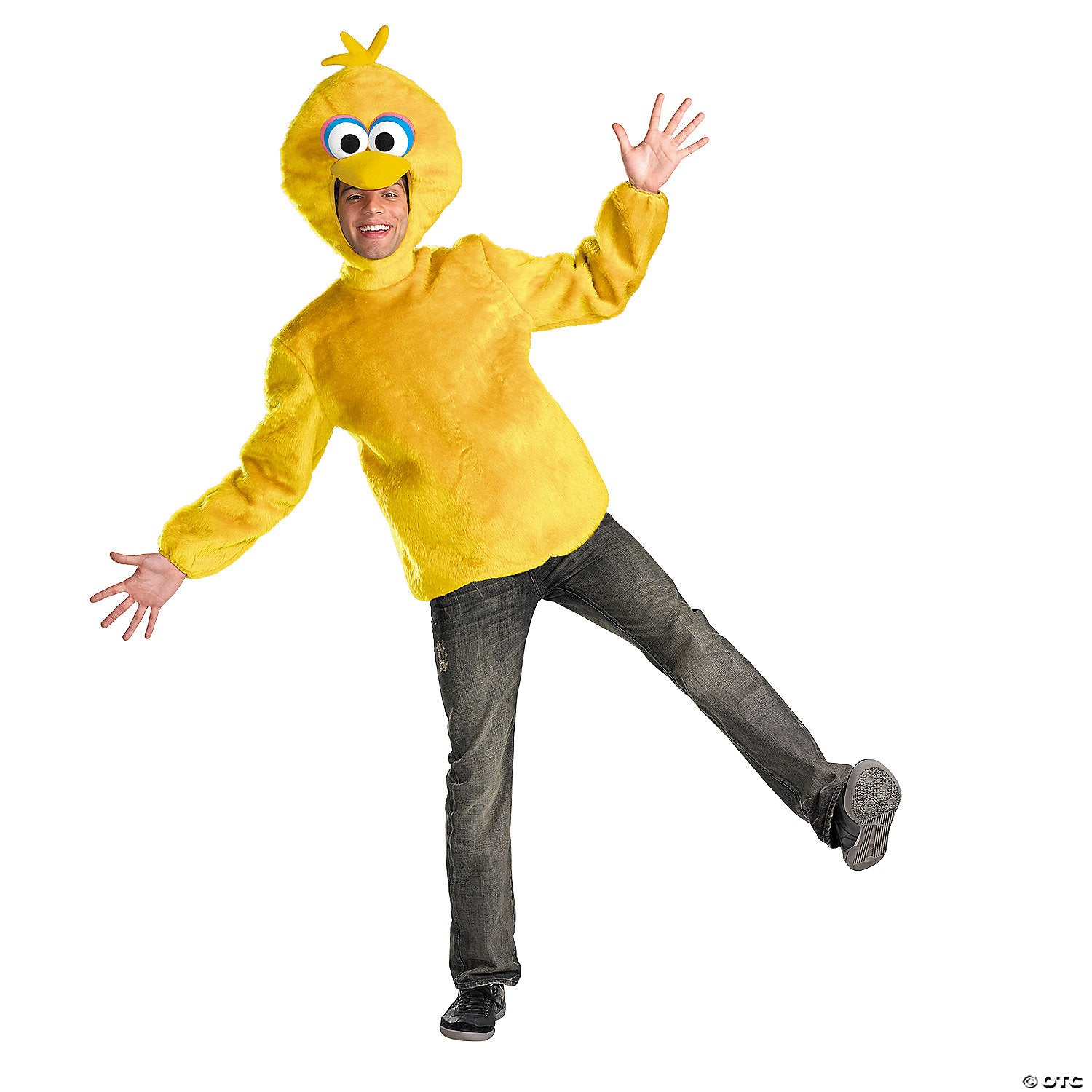 adults sesame street& 8482 big bird costume~dg50631d