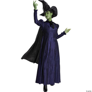 elphaba deluxe adult l~dg166409e