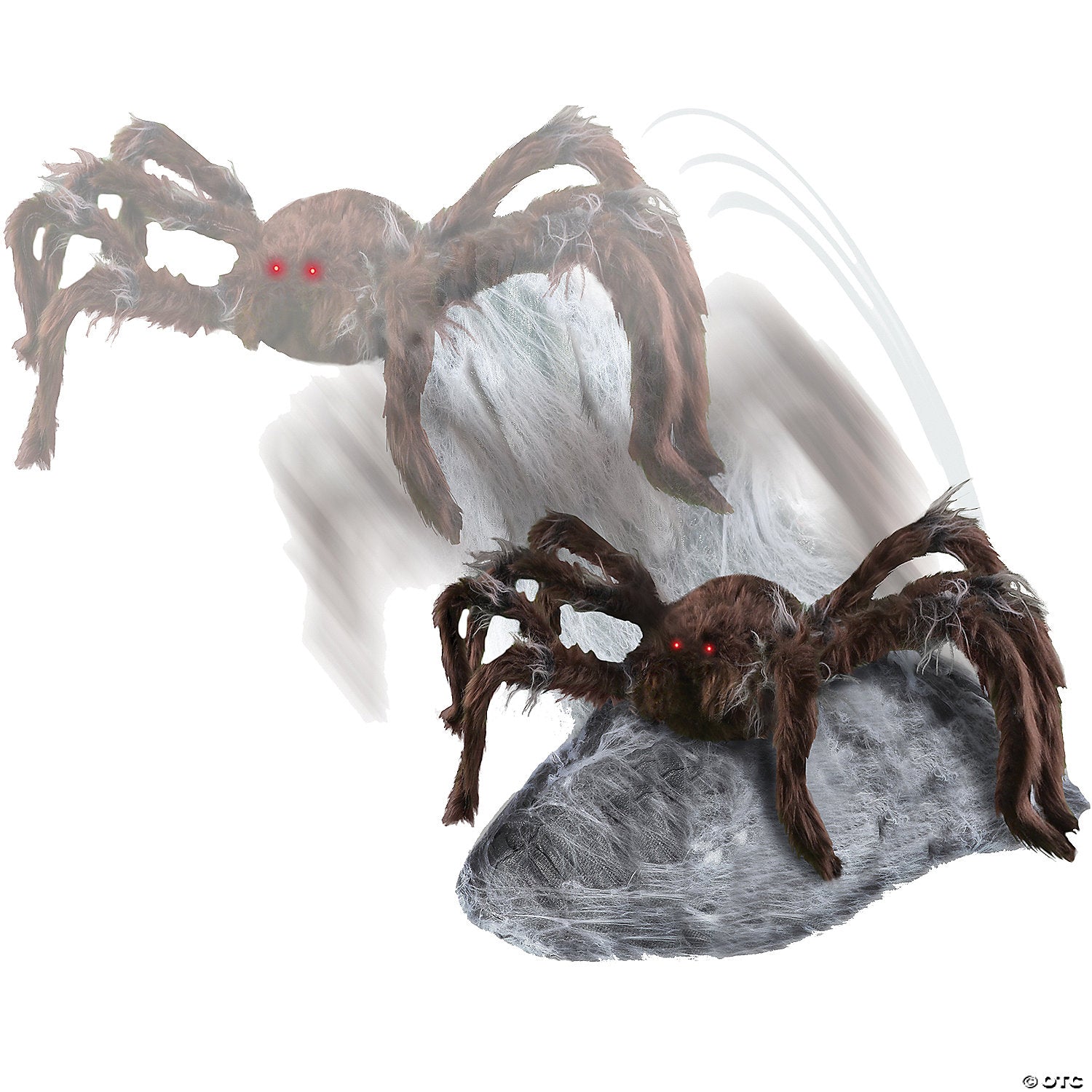 brown jumping spider decoration~tt56042-a02