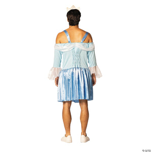 men s blue cinderfella polyester dress costume one size fits most~gc7300-a02