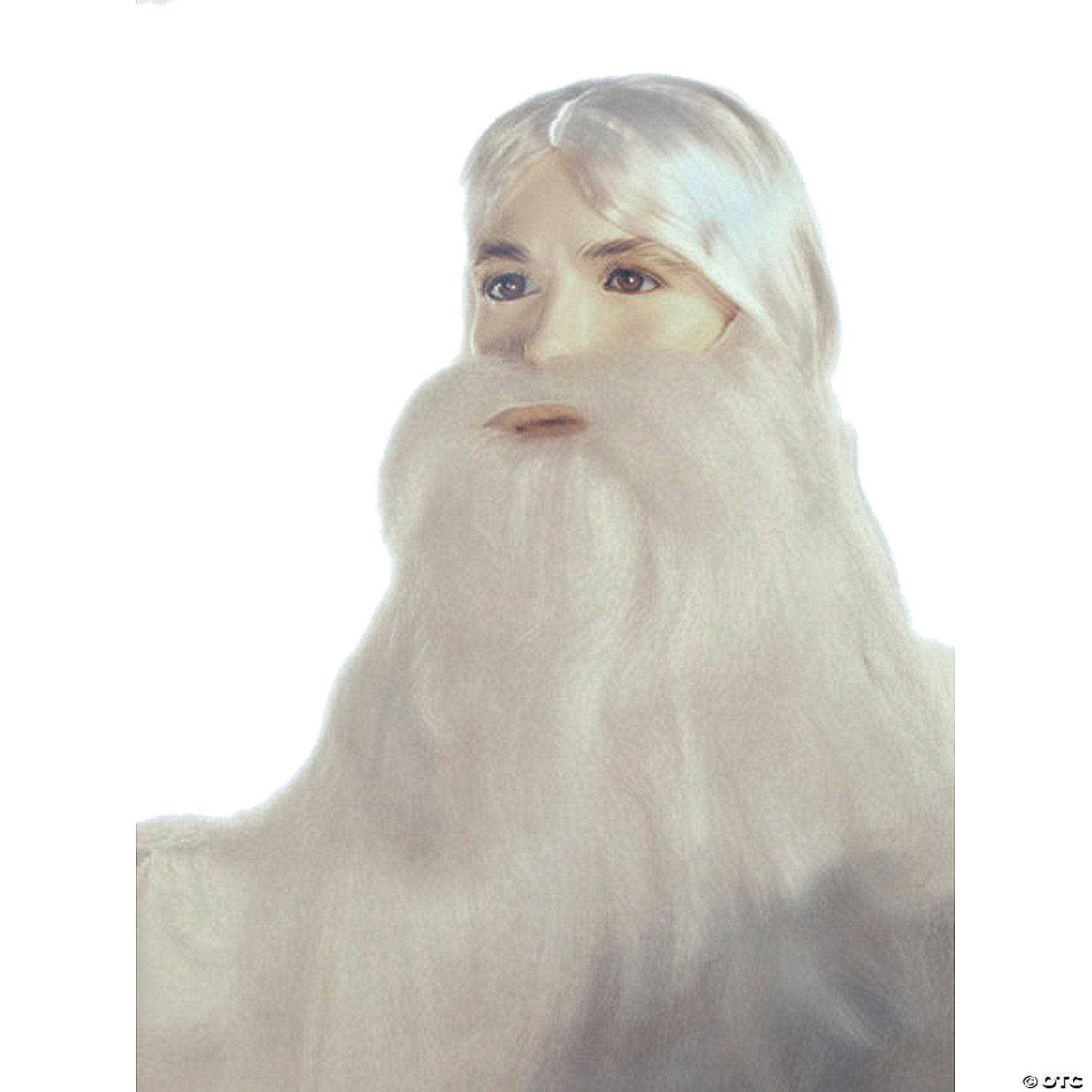white special bargain wizard beard & wig~lw651wt