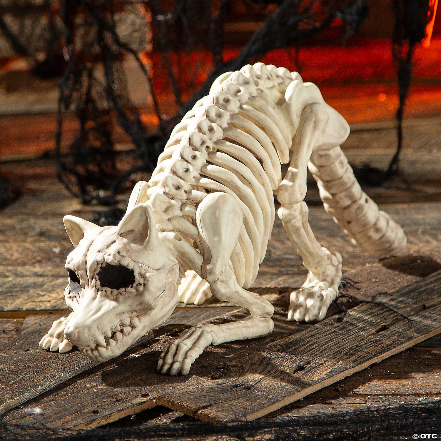 4 raccoon skeleton plastic outdoor halloween decoration~sew80888-a01