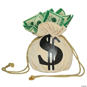 purse money bag~gc5995