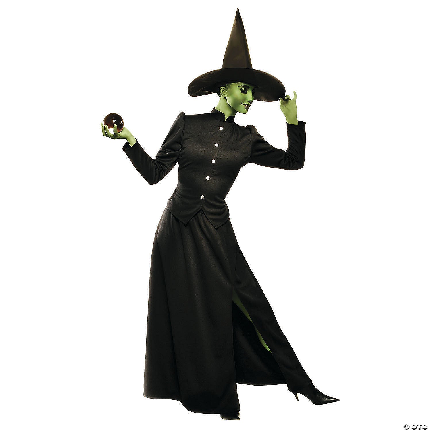 women& 8217 s deluxe classic witch costume large~aa86001lg