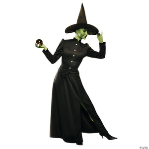 women& 8217 s deluxe classic witch costume large~aa86001lg