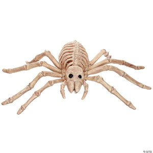 skeleton spider decoration~se18215
