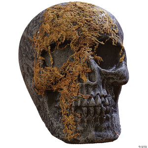 skull moss covered with jaw~fw91592j