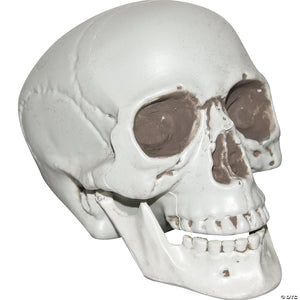 skull with moveable jaw halloween decoration~ss84342