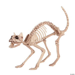 skeleton cat~se18071