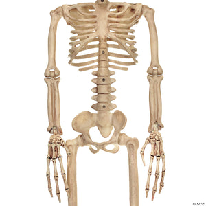 37 alien skeleton decoration~sez28054-a01