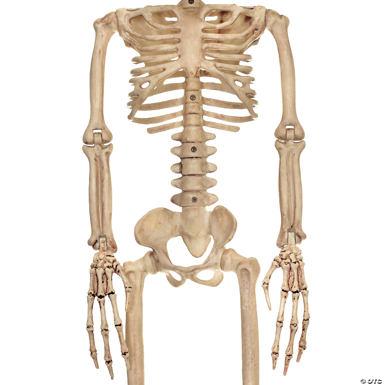 37 alien skeleton decoration~sez28054-a01