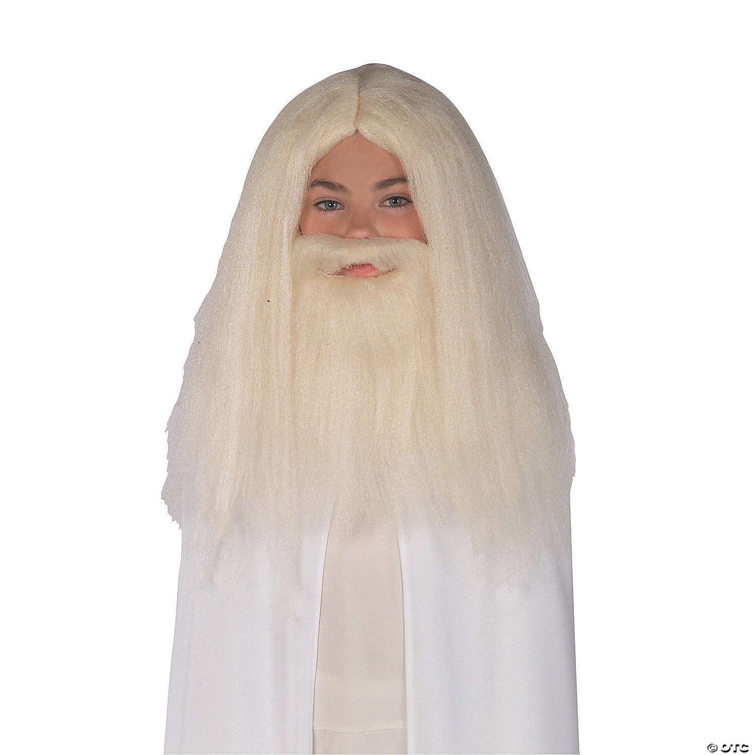 adults the lord of the rings& 8482 gray gandalf wig & beard~ru50943