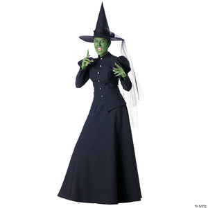 women s deluxe wicked witch costume small~ic1022sm