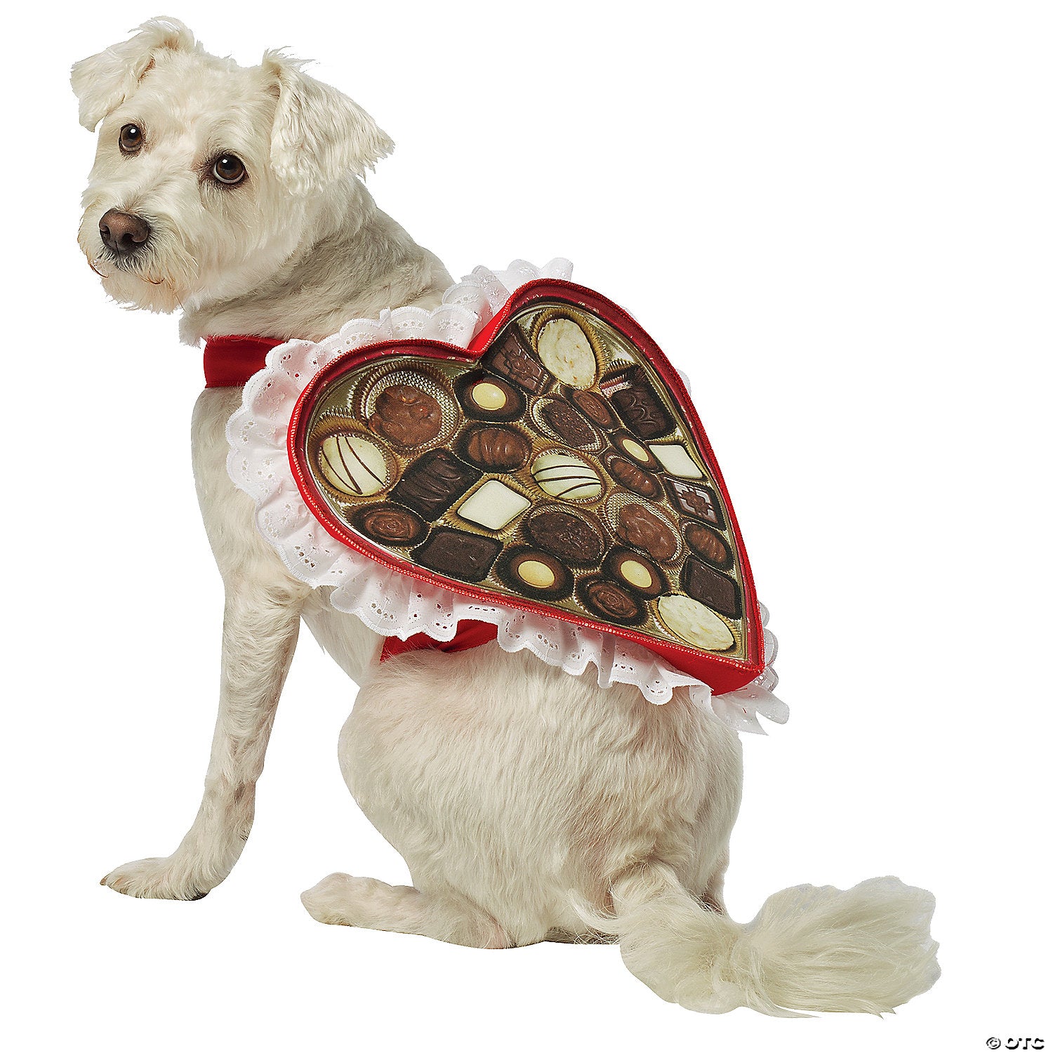 chocolate box pet costume ex small~gc5001xs