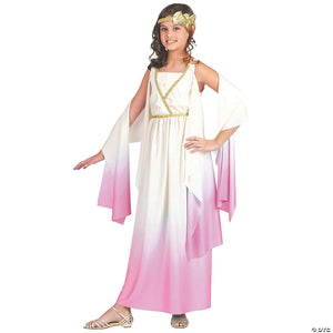 girl& 8217 s pink ombre athena costume large~fw120902lg