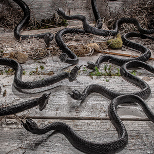 16 bag of black plastic snakes halloween decoration~sew82408-a01