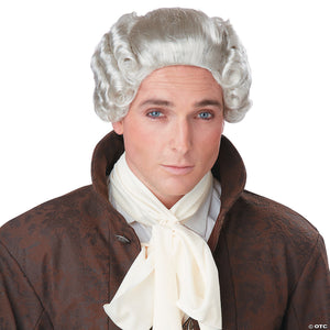 men s grey 18th century peruke wig~cc70700gy