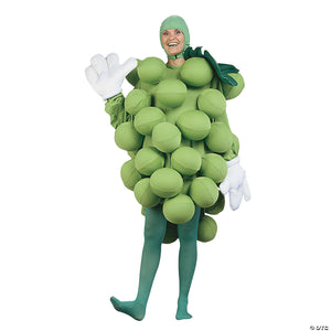 adults green grapes costume standard~pa9501