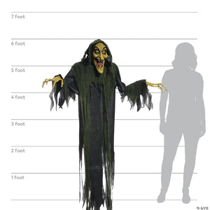 6 animated hanging witch halloween decoration~mr123111-a06