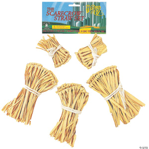 the wizard of oz& 8482 scarecrow straw kit~ru526