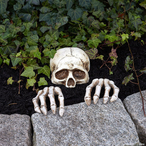 skeleton groundbreaker decoration set~fw91498-a01