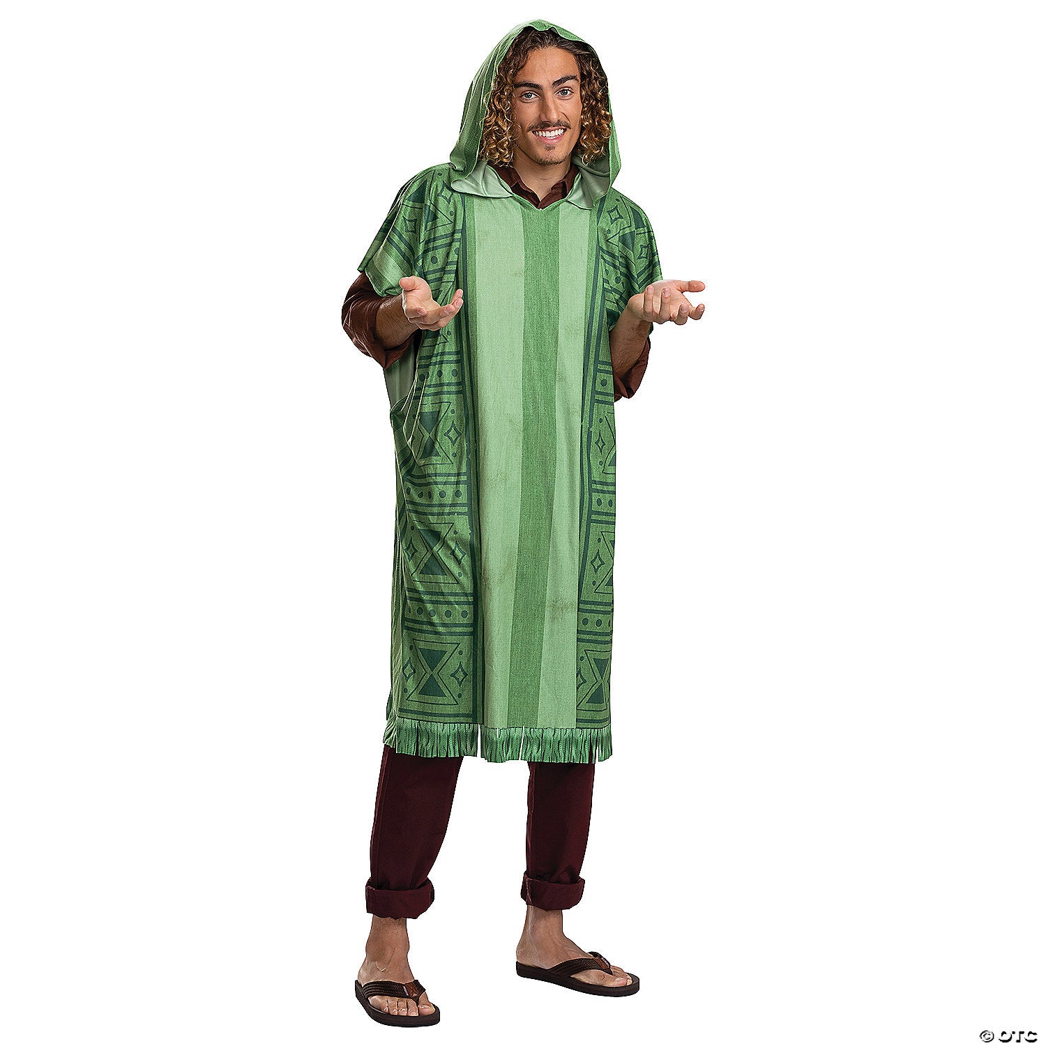 adults disney s encanto bruno poncho costume accessory~dg157289