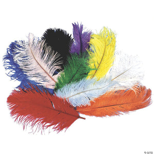 ostrich plume~bb05pk